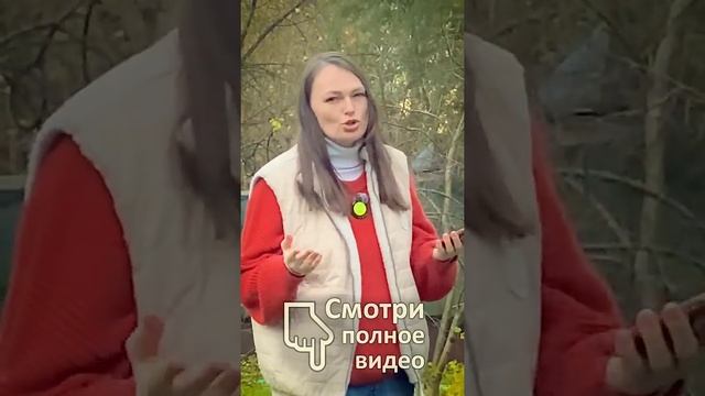 Не вноси мочевину ПОКА НЕ ПОСМОТРИШЬ