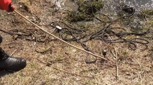 Эту жуткую находку мы подняли со дна, где произошло убийство!