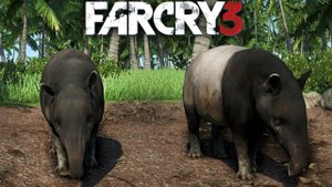 БЕЛОБРЮХИЙ ТАПИР | РЕДКОЕ ЖИВОТНОЕ И ШКУРА | ПУТЬ ОХОТНИКА | ПРОХОЖДЕНИЕ FAR CRY 3 БЕЗ КОММЕНТАРИЕВ