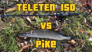 ОСЕННИЙ ЖОР ОКУНЯ | ТЕЛЕТЕН 150 | МИКРОДЖИГ