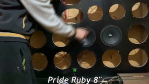 Очень громкий эстрадный динамик DL AUDIO Raven 200 vs. Pride Ruby 8 | Обзор, прослушка | Громкая 20