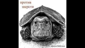 Крики бабочек - Против шерсти