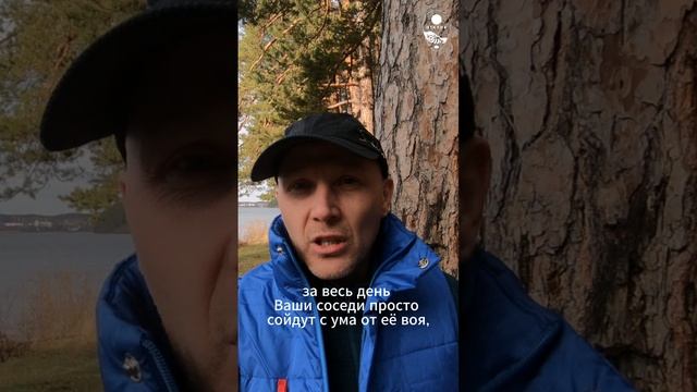 Это умная собака? #НЕдрессировка #воспитаниесобак #домашниепитомцы #собаки #dogtraining