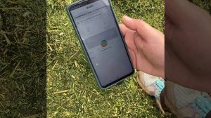 Заготовка сенажа. 3 укос. Анализ СВ прямо на траншее!