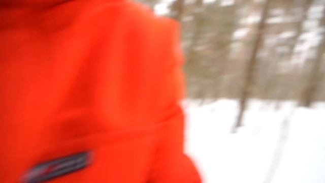 24 часа в жутком лесу, где живет убийца!