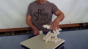 Декорация ДФМм-67Л