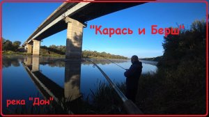 "Карась и Берш", река "Дон", локация "Мост".