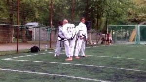 Master Vasilis Alexandris - ITF Taekwondo Kicking technique class