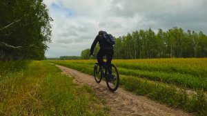 ЗАСТРЯЛ В ГРЯЗИ. В ЛЕС ЗА ГРИБАМИ НА ВЕЛОСИПЕДЕ