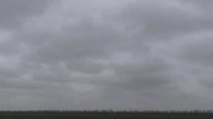 охота на джурбая. степной жаворонок