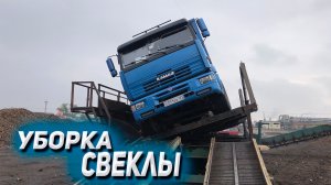 На КАМАЗЕ в дождь убираем свеклу