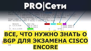 Все, что нужно знать о BGP для экзамена Cisco Encore