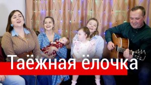 Таёжная ёлочка (В лесу родилась ёлочка) – трио Пташица, гитара Иван Разумов