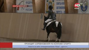Лошадям на соревнованиях в Ханты-Мансийске заплетают «шишечки»