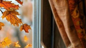 Рассказы из жизни - Ошибка,за которую пришлось заплатить....