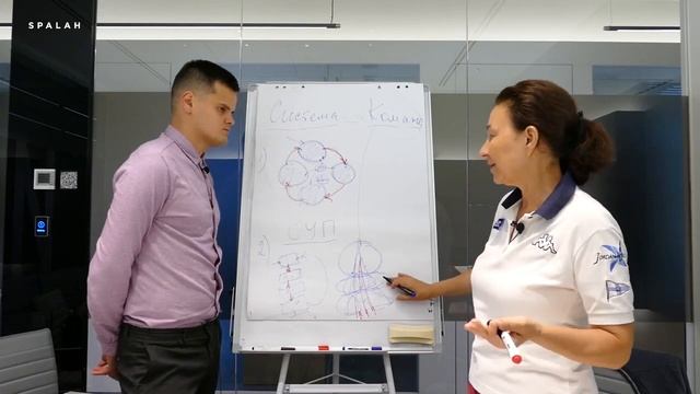 Урок 7 Подтема 4 Командный подход в организации смотреть онлайн