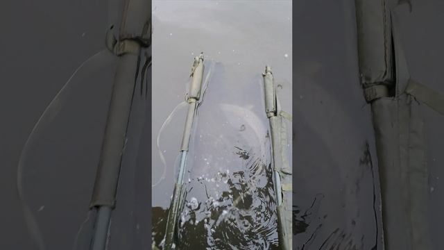 #fishing #карпфишинг #carpfishing #рыбалка #carp #ловлякарпа .mp4