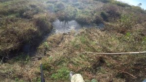 Охота на уток с подхода, осень 2024