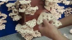 Полки на магнитном креплении из биокерамики для морских аквариумов