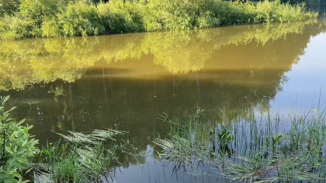УКЛАДКА КЕРАМОГРАНИТА НА СТЕНЫ В САНУЗЛЕ #керамогранит