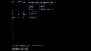 DNS+DHCP. Часть третья - настройка сервера bind