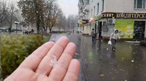 241102 Снегопад на бульваре Победы идёт снег Деревья в снегу Погода в начале ноября 2024 город Орёл