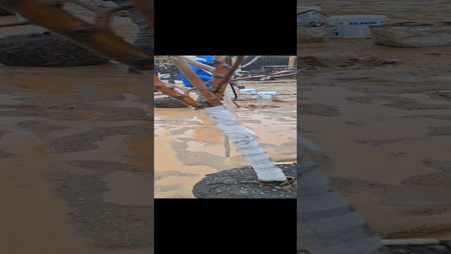 Сажаем плодовые деревья.