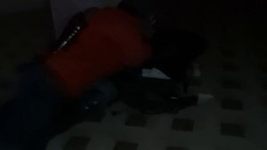 Мы отправились в погоню за Прыгуном, чтобы он не позвонил Рептилоиду