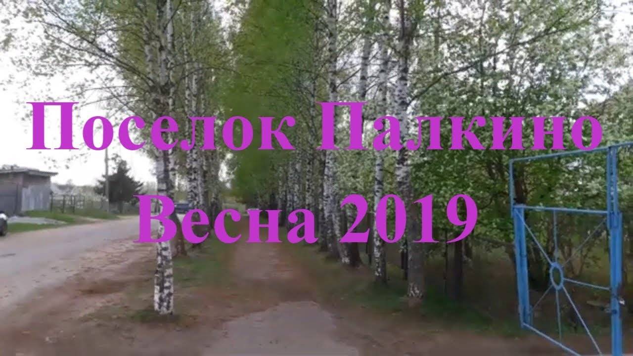 Поселок Палкино весна 2019