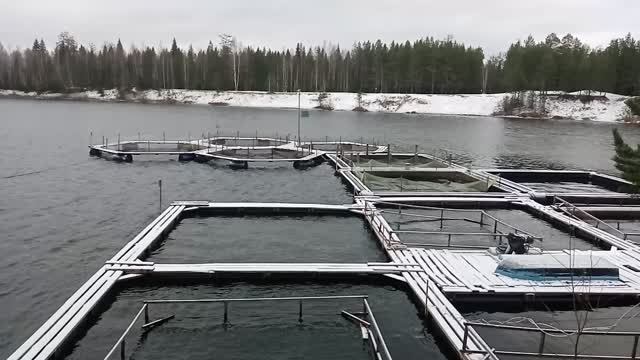 обзор моих садков для выращивания форели поддержка канала: 2202 2056 3985 7462 сбер
2023 смотреть онлайн