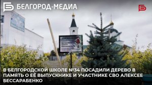 В белгородской школе №34 посадили дерево в память об участнике СВО Алексее Бессарабенко