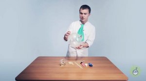 Научное шоу. Как проткнуть воздушный шарик так, чтобы он не лопнул.