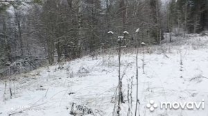 Рыбалка в вологодской области, ХАРИУС.