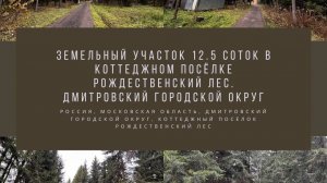 Земельный участок 12.5 соток в коттеджном посёлке Рождественский Лес. Дмитровский городской округ