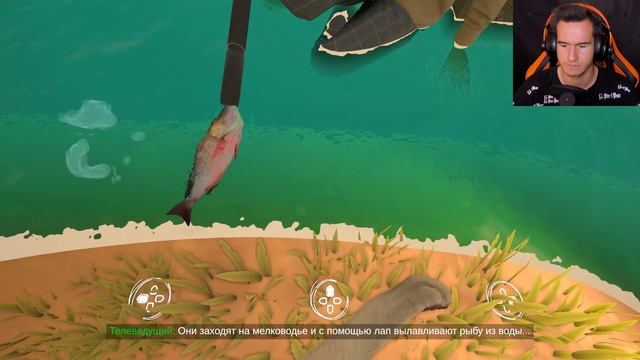 ЛУЧШИЙ СИМУЛЯТОР КОТИКА ★ COPYCAT Прохождение игры #1