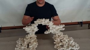 Декорация из биокерамики для морского аквариума № 120324