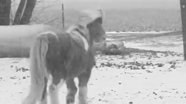 This One's For The Torn Down смотреть онлайн