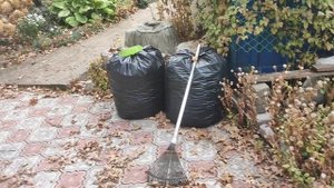 Дела дачные осенние.