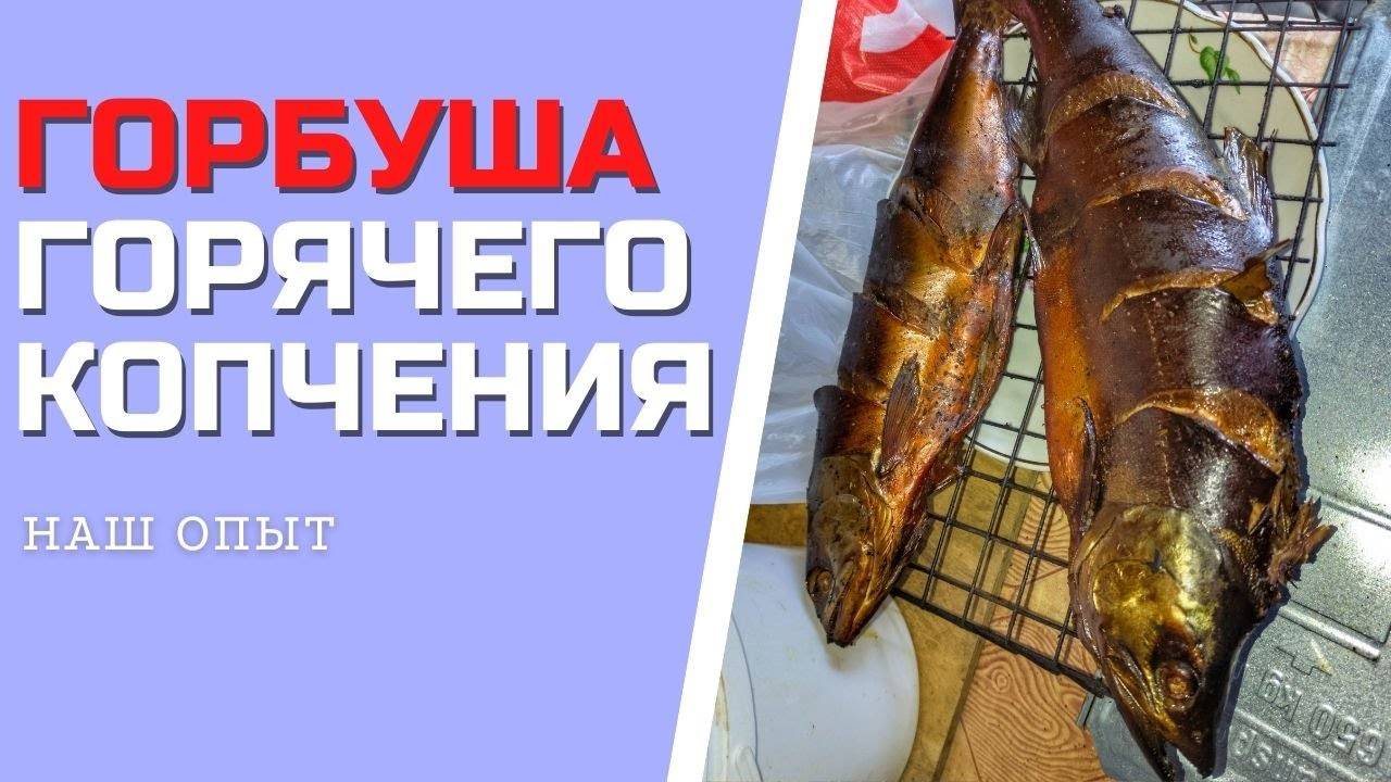 ГОРБУША ГОРЯЧЕГО КОПЧЕНИЯ в коптильне как засолить и сколько коптить
