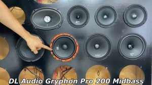 Настоящий эстрадный МИДБАС DL Audio Gryphon Pro 200 Midbass