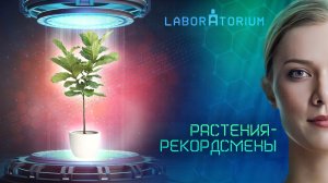 Laboraturium | Растения-рекордсмены