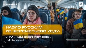 Назло русским из Шереметьево уеду: Украинцы обвиняют всех, но не себя