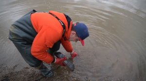 Отправились на кладбище автомобилей, чтобы поднять со дна все жуткие находки!