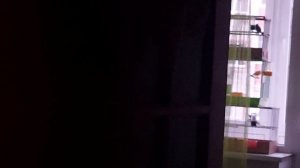 утро начинается не с кофепесня репелов утром