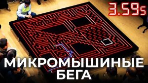 Микромышиные бега самая быстрая гонка по лабиринту