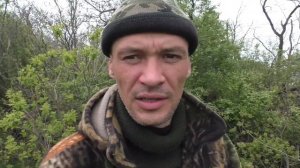 охота на соловья лучками