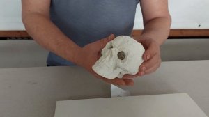 Декорация для морского аквариума "Черп Пират-3"