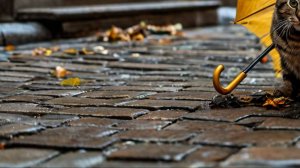 История из жизни - Счастливая история Джека ...