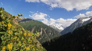 Ущелье Ирик Чат, 6-7 июня, изюминка Приэльбрусья. На следующий день после восхождения.