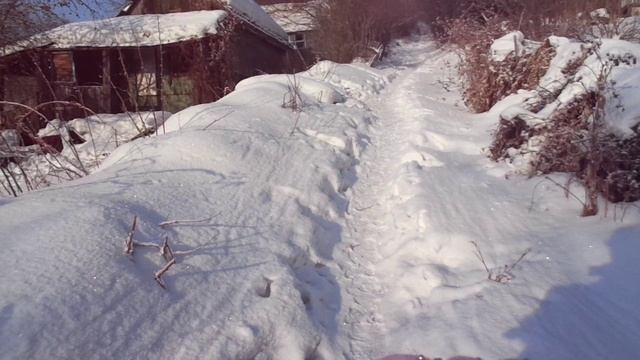 ЗАГОРЬЕ 24.01.2022